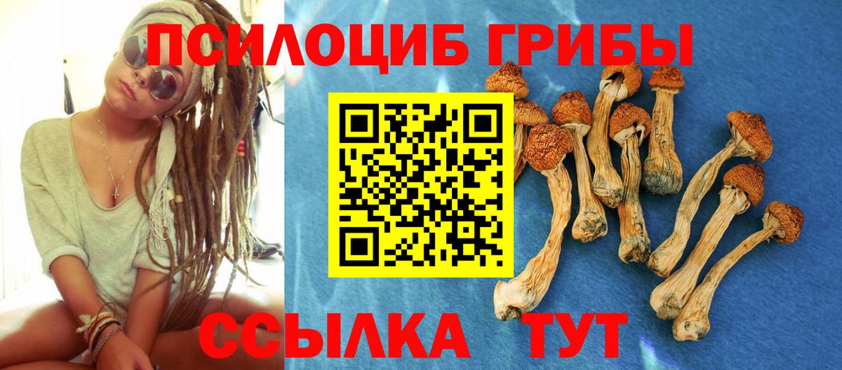 Галлюциногенные грибы Psilocybine cubensis Минеральные Воды