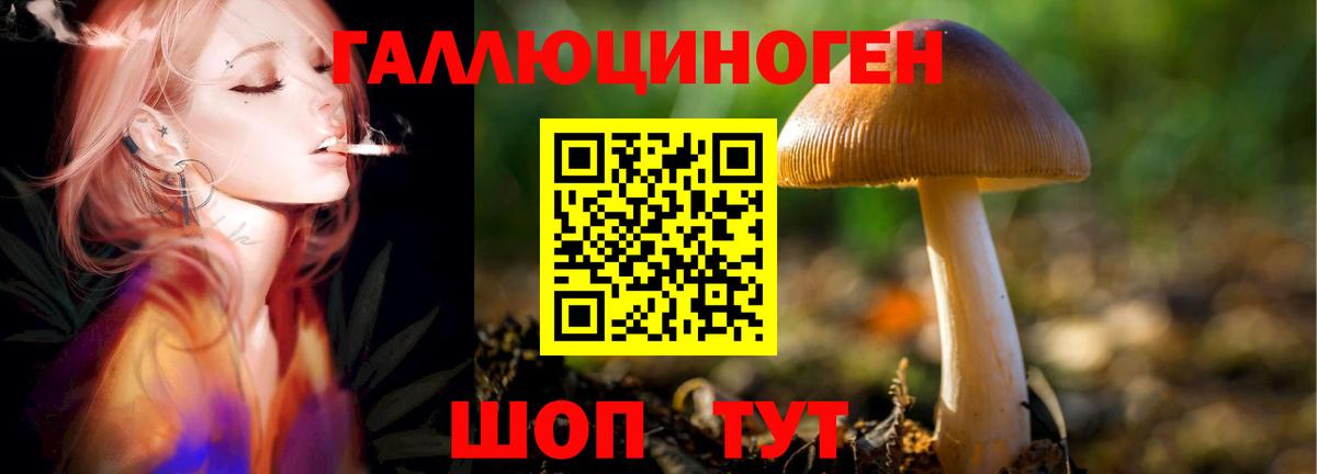 Галлюциногенные грибы мицелий  как найти закладки  Минеральные Воды  Вход с VPN 